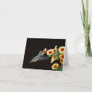 Suche nach kolibri karten Fotografie