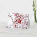 Suche nach beere kleine grußkarten Winter