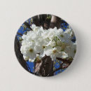 Suche nach weißer baum buttons Blume