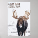 Suche nach moose poster Nationalpark