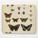 Suche nach insekten mousepads Tiere