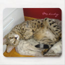 Suche nach savanne mousepads Katze