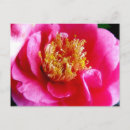 Suche nach gardenia poster Natur