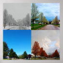 Suche nach jahreszeiten baum poster Natur