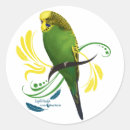 Suche nach parkett aufkleber Budgerigar