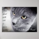 Suche nach graue katzen poster Für sie