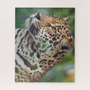 Suche nach jaguar puzzle Wild