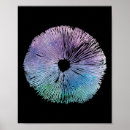 Suche nach spore poster Natur