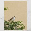 Suche nach vögel flyer Süß