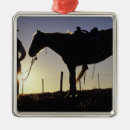 Suche nach seil ornamente Pferd