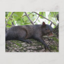 Suche nach entspannend postkarten Natur