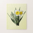 Suche nach gelbe narzisse puzzle Frühling