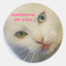 Suche nach grünes auge aufkleber Weiß