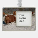 Suche nach wild ornamente Strand