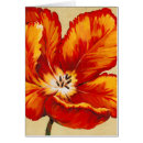 Suche nach tulip postkarten Papageientuppe