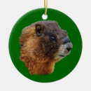 Suche nach murmeltiere ornamente Niedlich