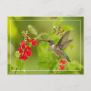 Suche nach sommer postkarten Sonnig