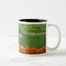 Suche nach teich tasse tassen Blume