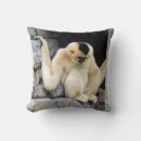 Suche nach wilder affe kissen Natur