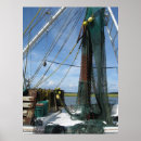 Suche nach shrimp poster Natur