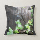 Suche nach efeu kissen Natur