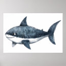 Suche nach haifische poster Tier