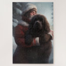 Suche nach über neufundland puzzle Weihnachten