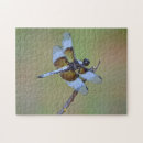 Suche nach dragonfly puzzle Blau