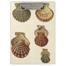 Suche nach muschel klemmbrett Küste