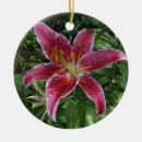 Suche nach lilie ornamente Lila