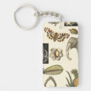 Suche nach insekten schlüsselanhänger Tiere