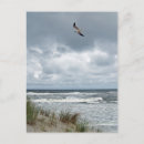 Suche nach außenseiter postkarten Strand