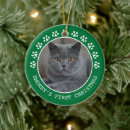 Suche nach niedliche katze ornamente Katzen