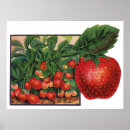 Suche nach vintage erdbeeren poster Retro