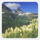 Suche nach gletscher aufkleber Landschaft