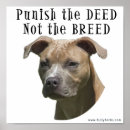 Suche nach bsl Hunde