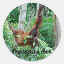 Suche nach primate aufkleber Tierwelt