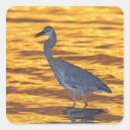 Suche nach petersburg aufkleber Sonnenuntergang