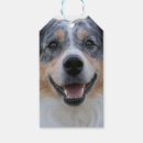Suche nach ihr foto hier geschenkanhänger Haustier