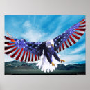 Suche nach amerikanischer vogel poster Adler