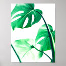 Suche nach monstera poster Botanisch
