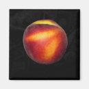 Suche nach pfirsiche magnete Küche