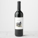 Suche nach stallion Wildpferd