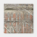 Suche nach schnee bedeckte baum Usa