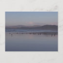 Suche nach soft postkarten Foto