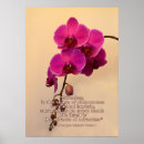Suche nach orchidee phalaenopsis poster Lila