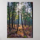 Suche nach scheinwerfer poster Natur