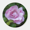 Suche nach rosenmagnet Natur