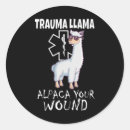 Suche nach trauma aufkleber Krankenschwester