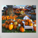 Suche nach adirondack stühle poster Herbst